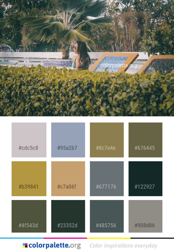 Tree Arecales Palm Color Palette