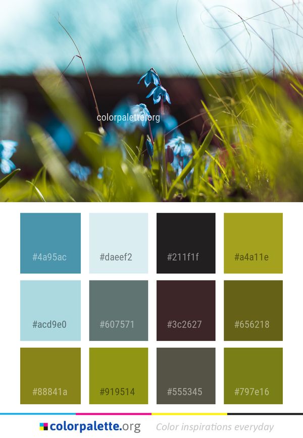 Blue Nature Plant Color Palette
