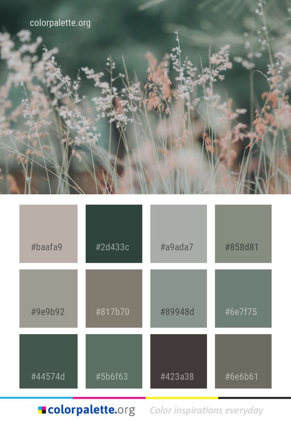 Branch Flora Grass Color Palette