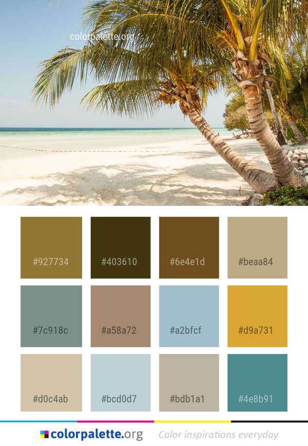 Caribbean Tropics Palm Tree Color Palette