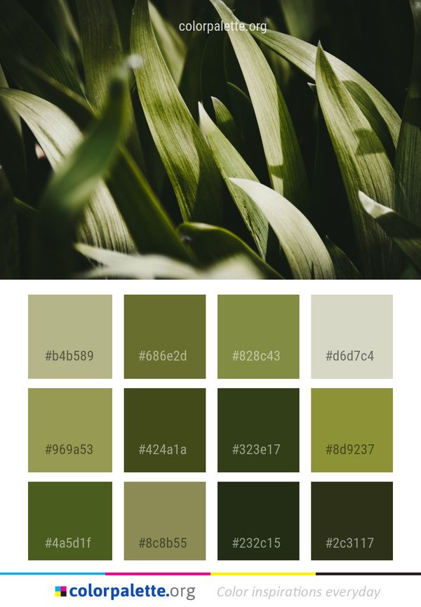 Flora Plant Leaf Color Palette