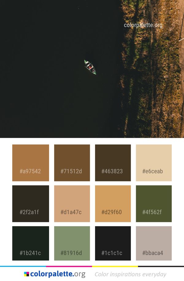 Nature Sky Tree Color Palette