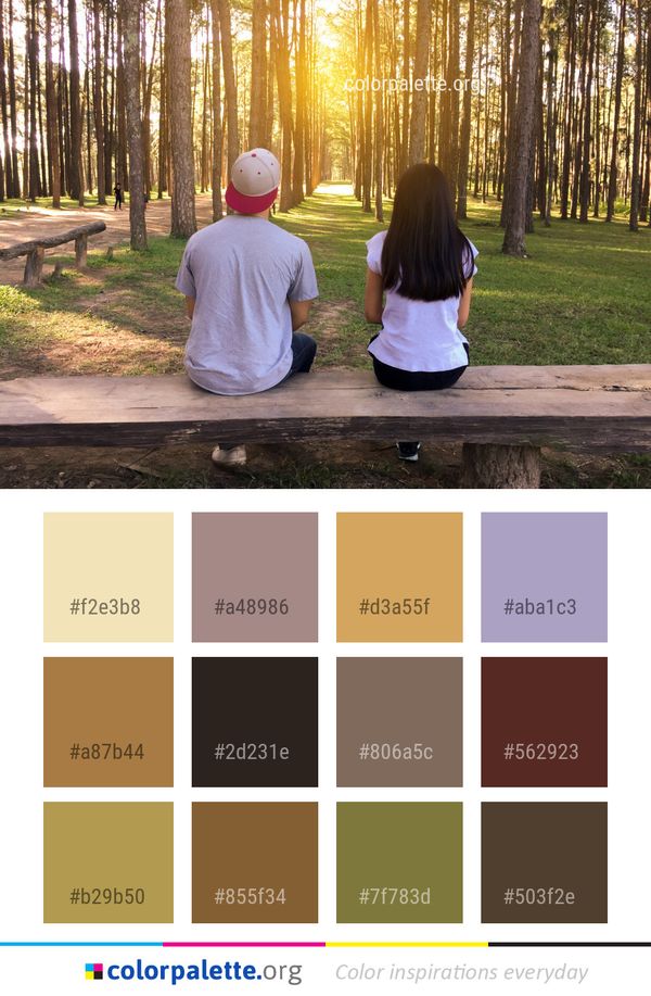 Nature Tree Sitting Color Palette