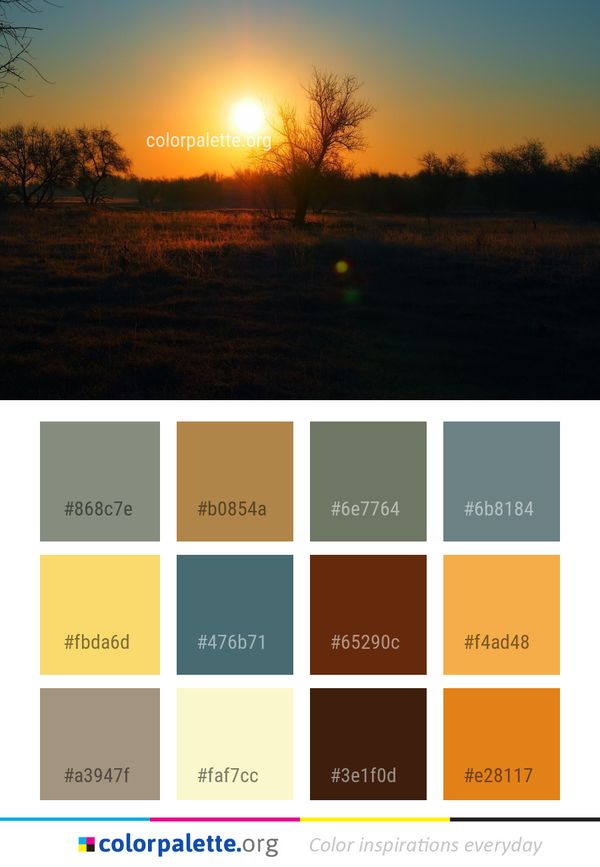 Sky Sun Sunrise Color Palette