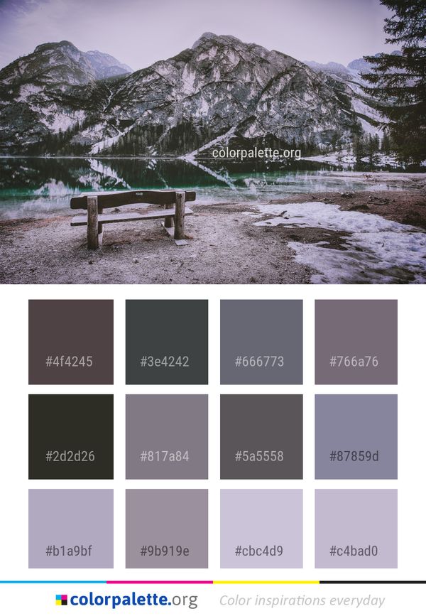Snow Nature Winter Color Palette