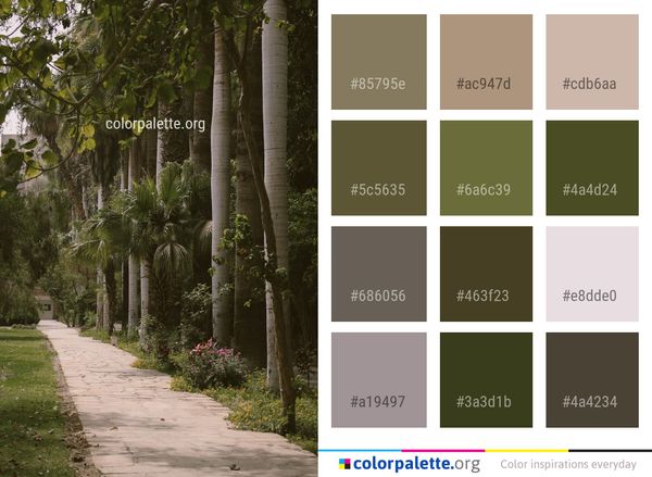 Tree Vegetation Plant Color Palette