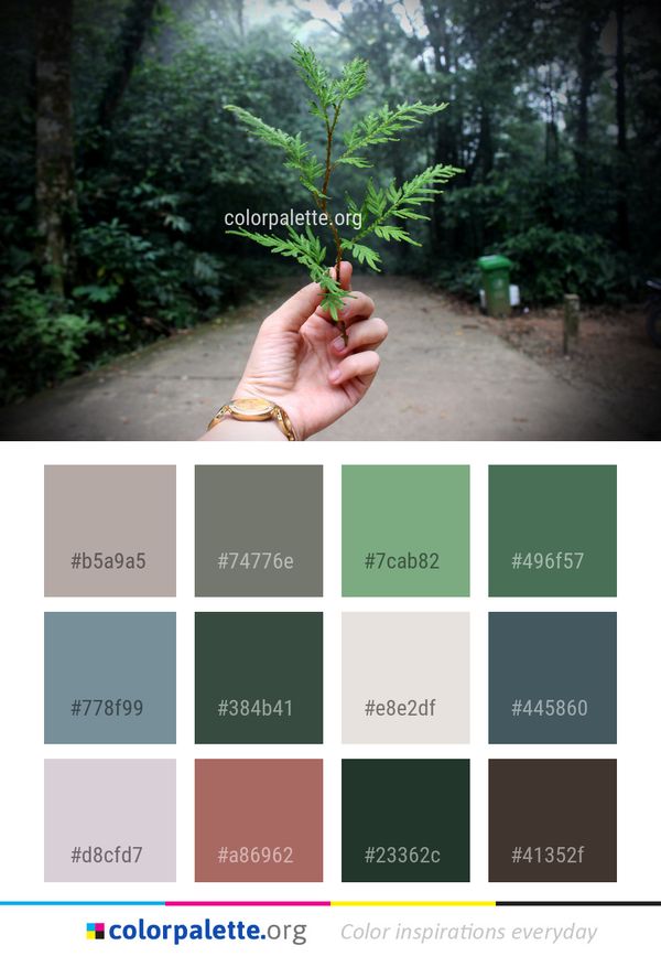 Vegetation Plant Leaf Color Palette