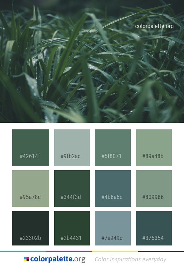Water Green Grass Color Palette