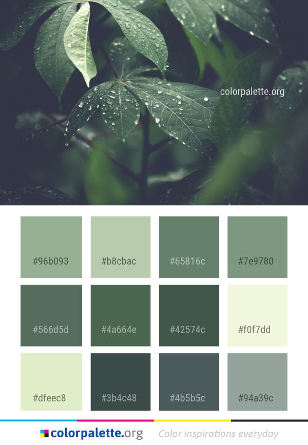 Water Leaf Vegetation Color Palette
