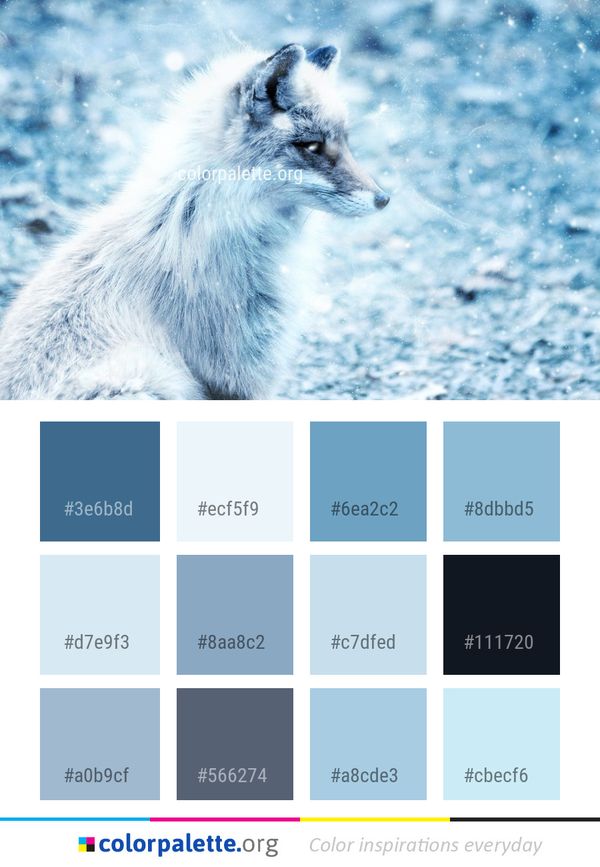 Wildlife Mammal Fox Color Palette