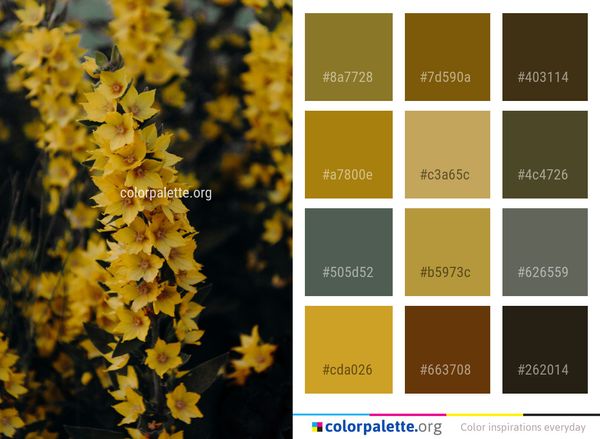 Yellow Flora Maidenhair Tree Color Palette