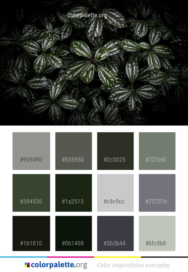 Black And White Leaf Vegetation Color Palette