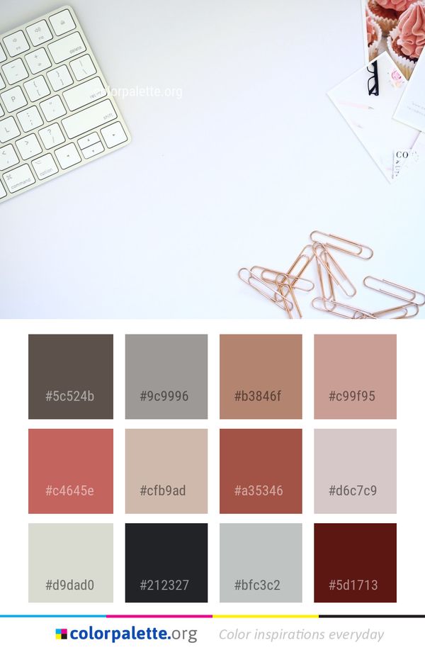 Design Font Line Color Palette