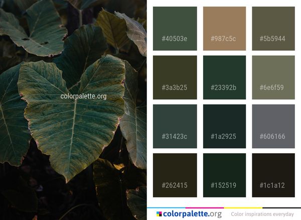 Leaf Plant Flora Color Palette