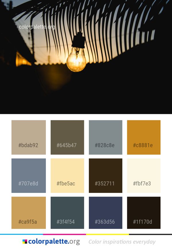 Light Fixture Lighting Color Palette