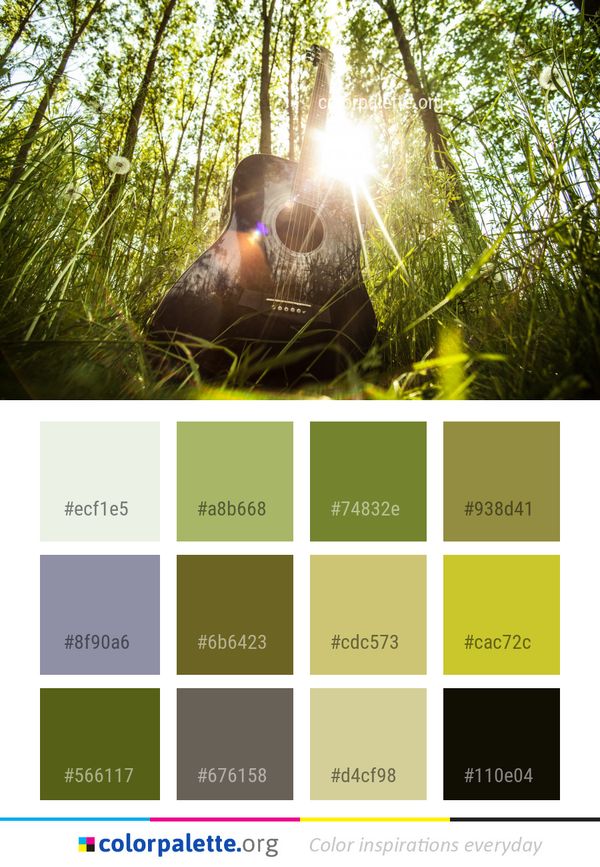Nature Tree Forest Color Palette