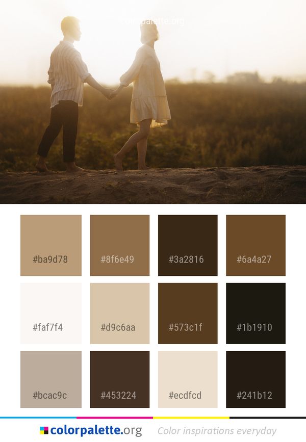 Photograph Photography Sunlight Color Palette