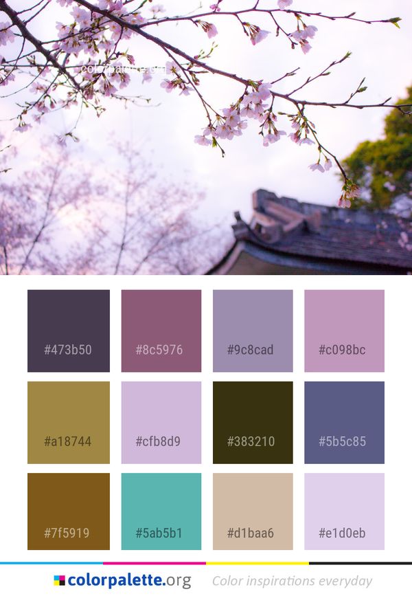 Pink Branch Flower Color Palette