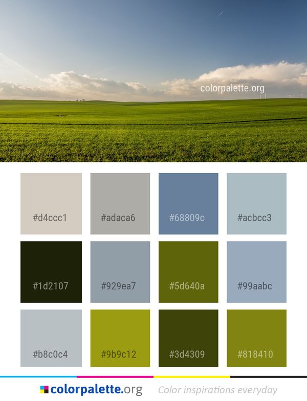 Sky Grassland Field Color Palette