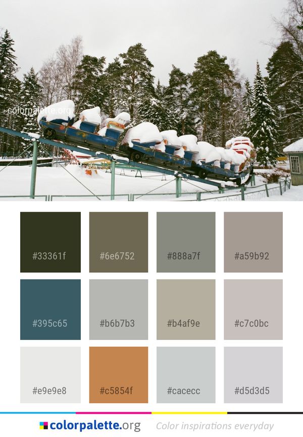 Snow Winter Tree Color Palette