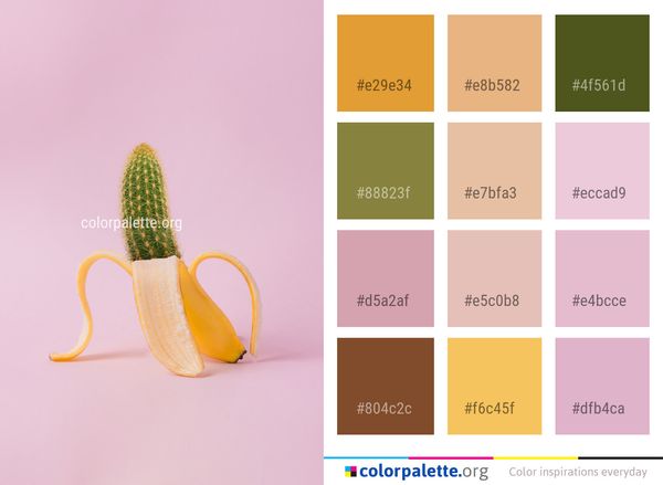 Yellow Fruit Banana Family Color Palette