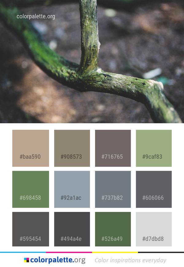 Branch Leaf Flora Color Palette