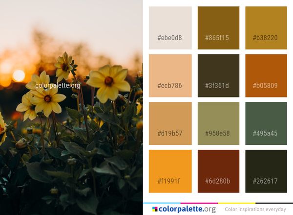 Flower Yellow Flora Color Palette