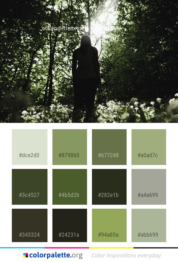 Green Nature Tree Color Palette