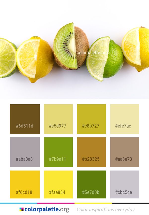 Lime Fruit Food Color Palette