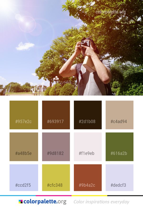 Nature Photograph Yellow Color Palette