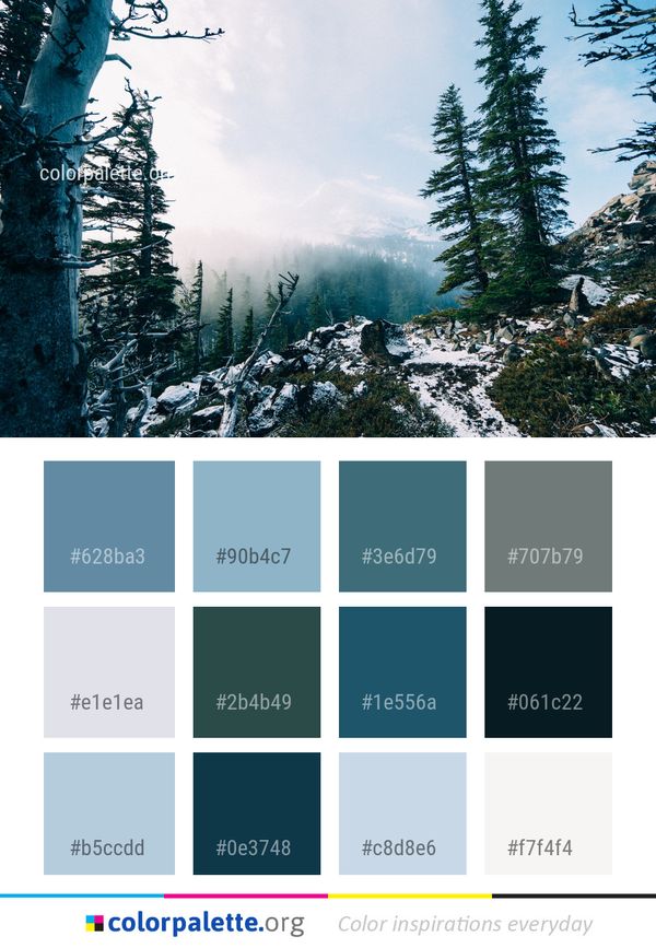 Nature Winter Tree Color Palette