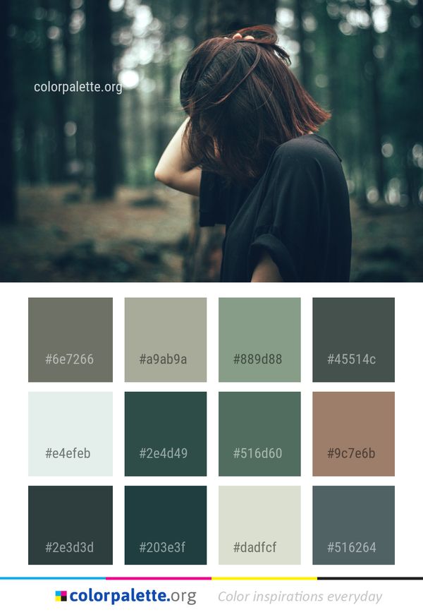 Photograph Person Girl Color Palette
