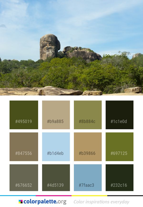 Rock Sky Tree Color Palette