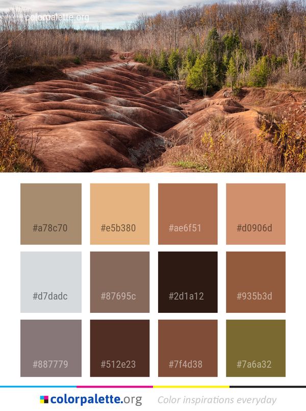 Badlands Wilderness Rock Color Palette