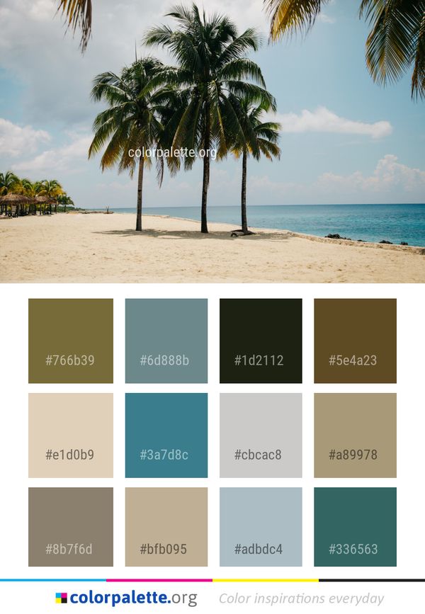 Beach Body Of Water Sea Color Palette