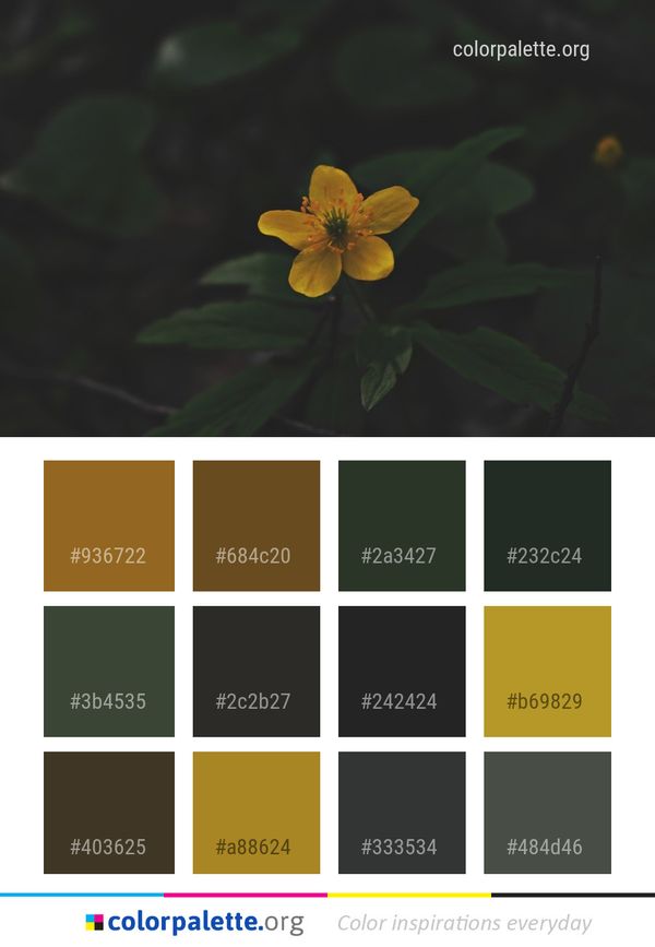 Flower Flora Yellow Color Palette
