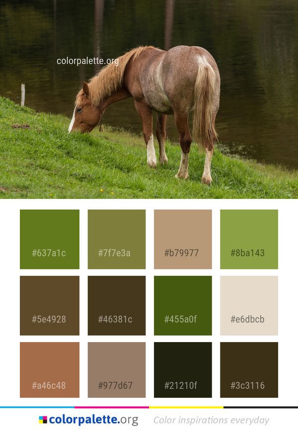 Horse Mane Pasture Color Palette