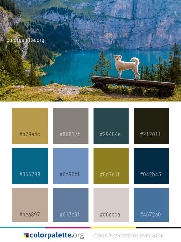 Nature Reserve Wilderness Color Palette