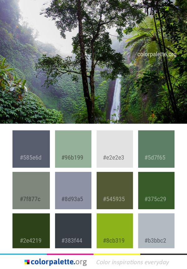 Nature Water Vegetation Color Palette