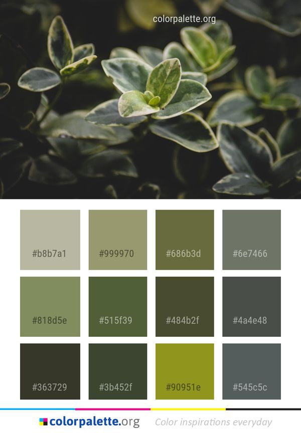 Plant Flora Leaf Color Palette