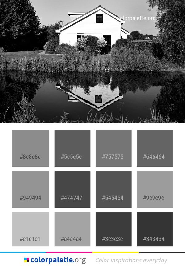 Reflection White Nature Color Palette