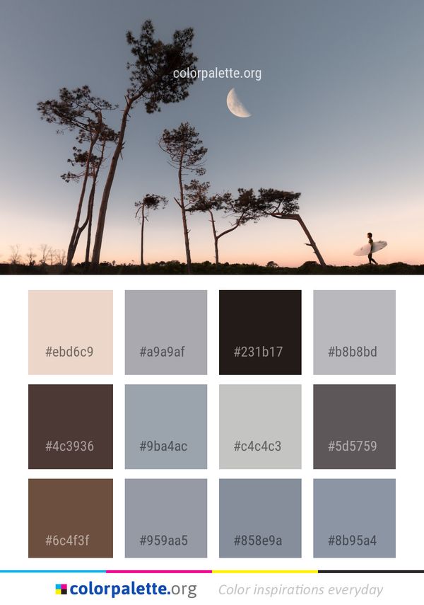 Sky Tree Woody Plant Color Palette