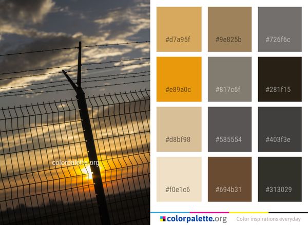 Sky Yellow Wire Fencing Color Palette