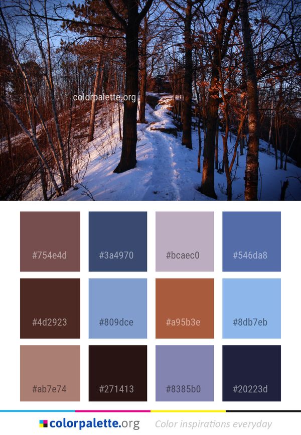 Snow Winter Nature Color Palette