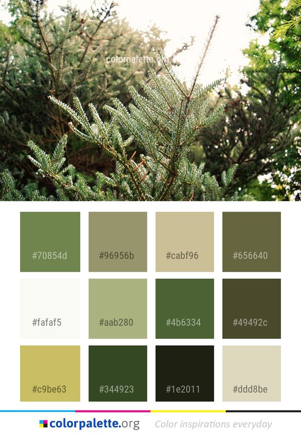 Tree Vegetation Ecosystem Color Palette