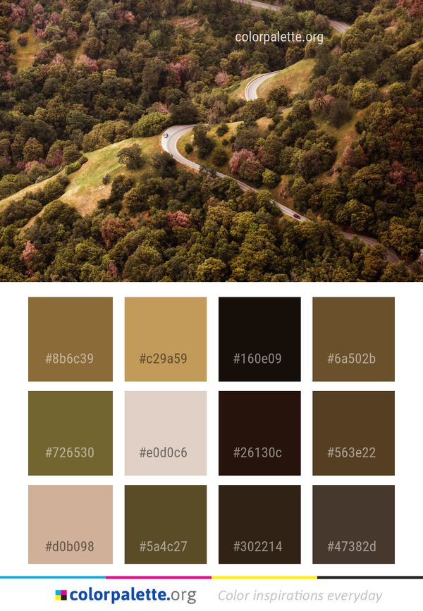 Vegetation Aerial Photography Tree Color Palette