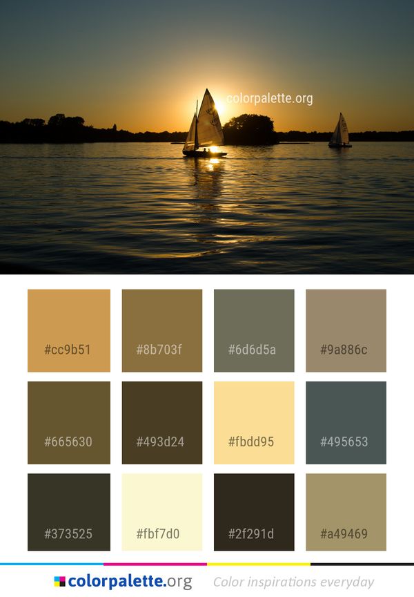 Water Reflection Body Of Color Palette