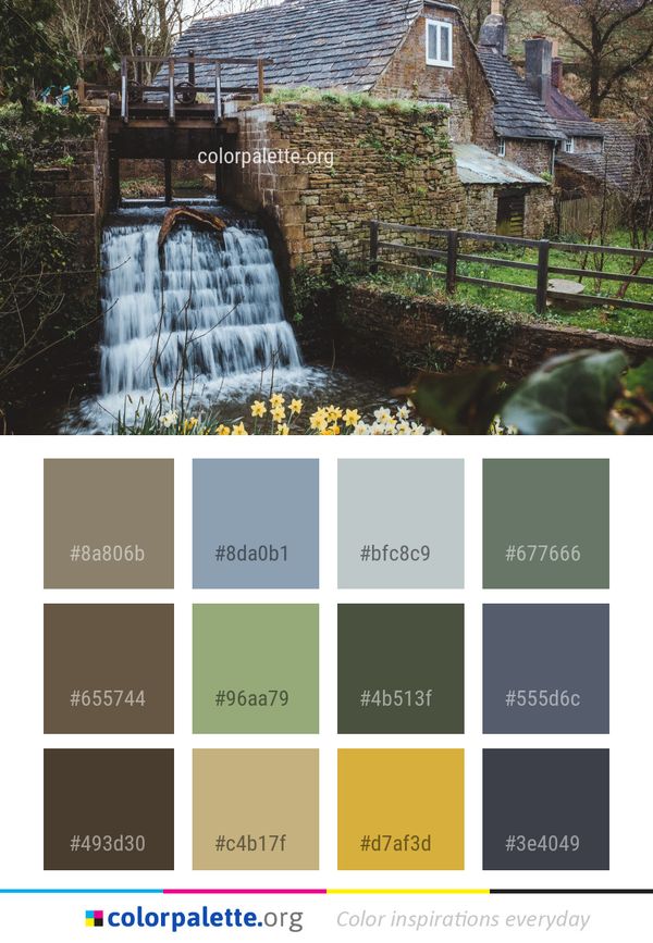 Water Feature Tree Color Palette
