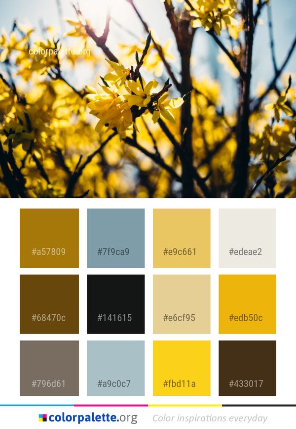 Yellow Branch Flora Color Palette