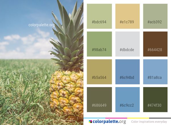 Ananas Pineapple Plant Color Palette
